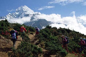 Annapurna Panchase Trekking