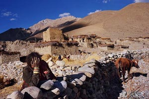 Trekking in Mustang